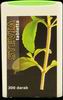 Stevia tabletta 300db.